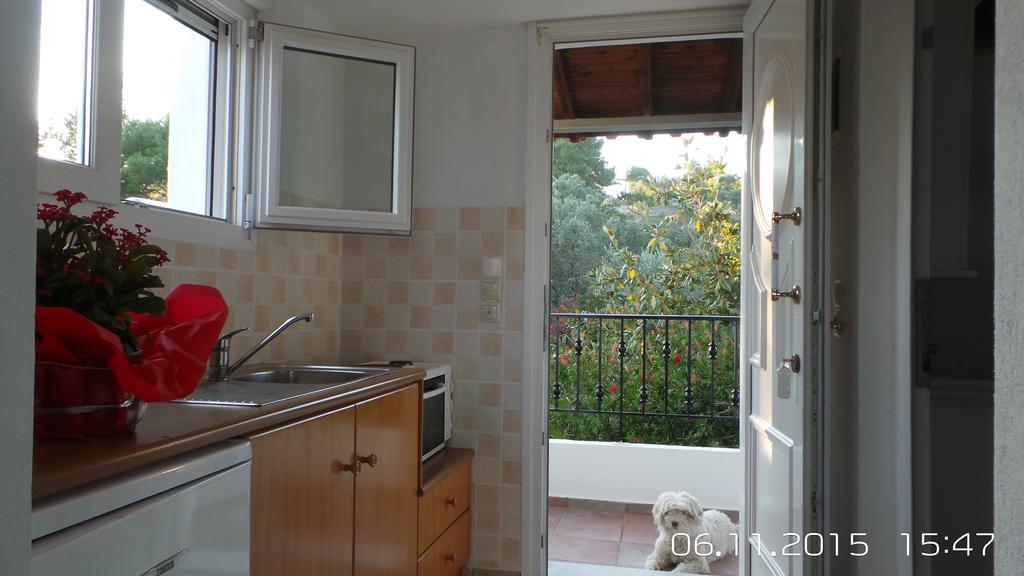 Skiathos Studios Panorama 客房 照片