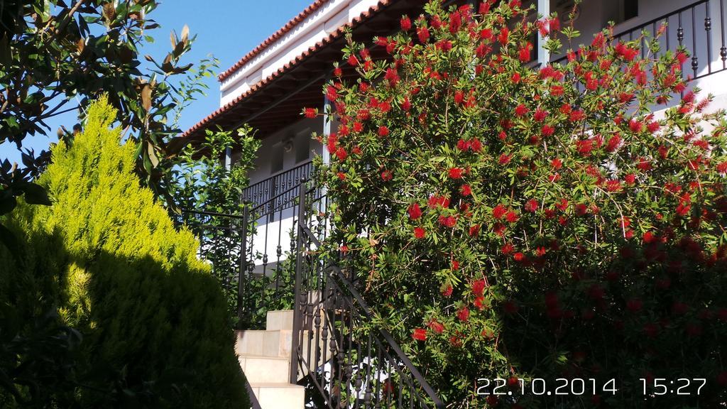 Skiathos Studios Panorama 外观 照片